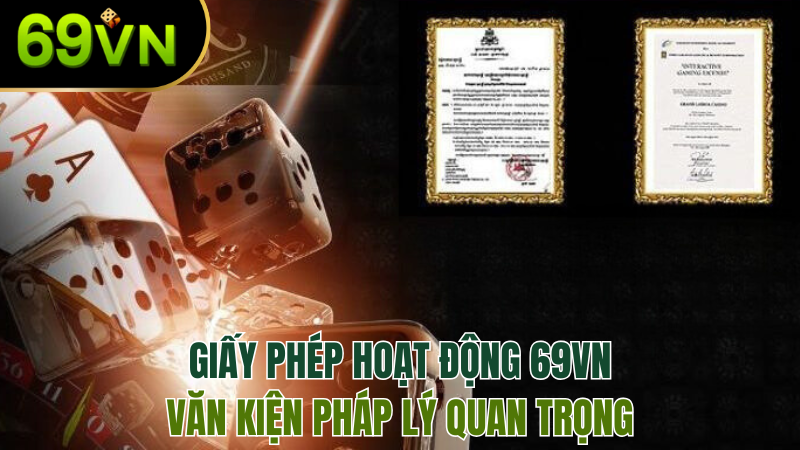 giay-phep-hoat-dong-69vn-2025